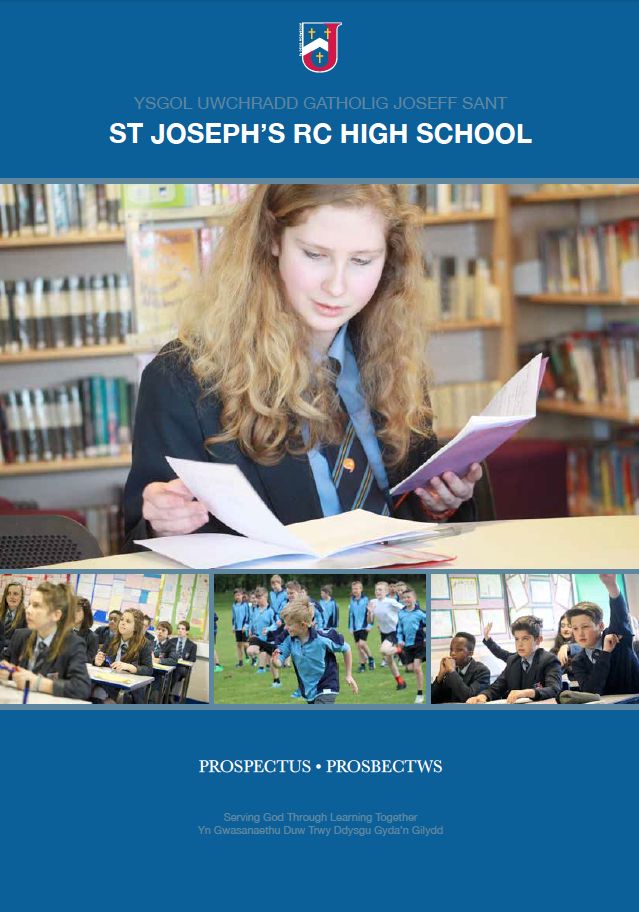  SJHS Prospectus